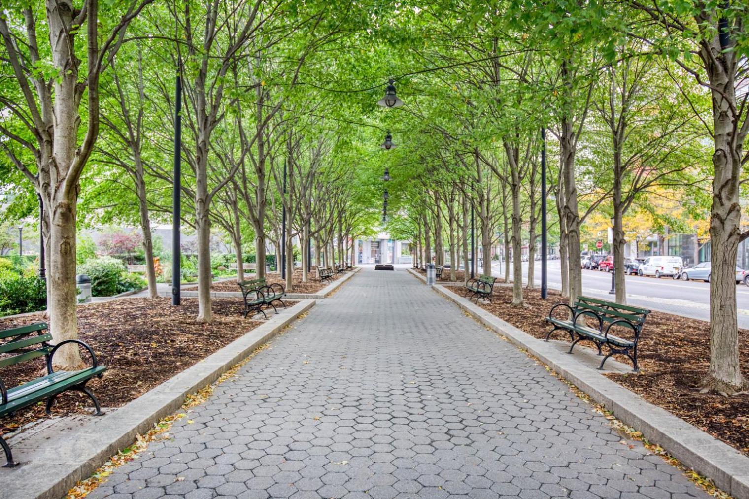 Apartamento Fidi 1br W Elevator Doorman Gym Nr St Nyc-619 Nova York